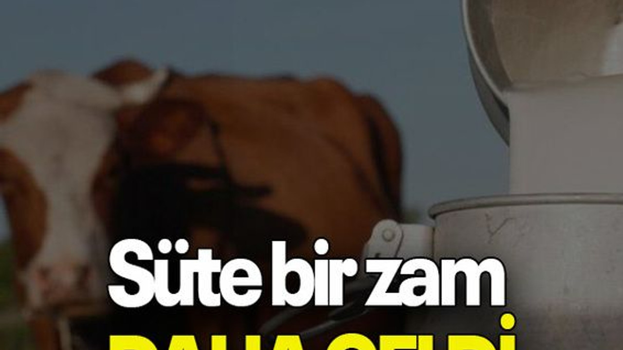 Süte bir zam daha geldi
